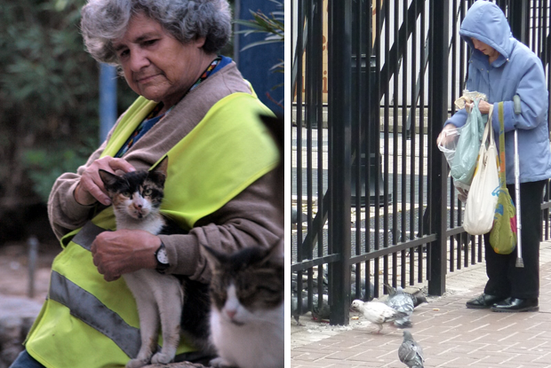 La loca de los gatos y la loca que da de comer a las palomas se reúnen para acordar un único plan estratégico buff.ly/2OlZ2ye