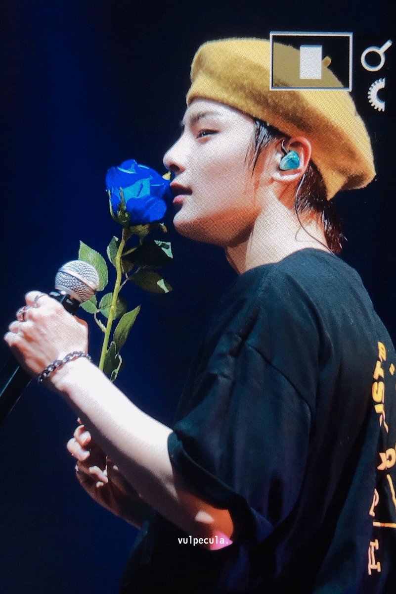 february 3, 2020day 34please im gonna show up with a bouquet of roses for you baby