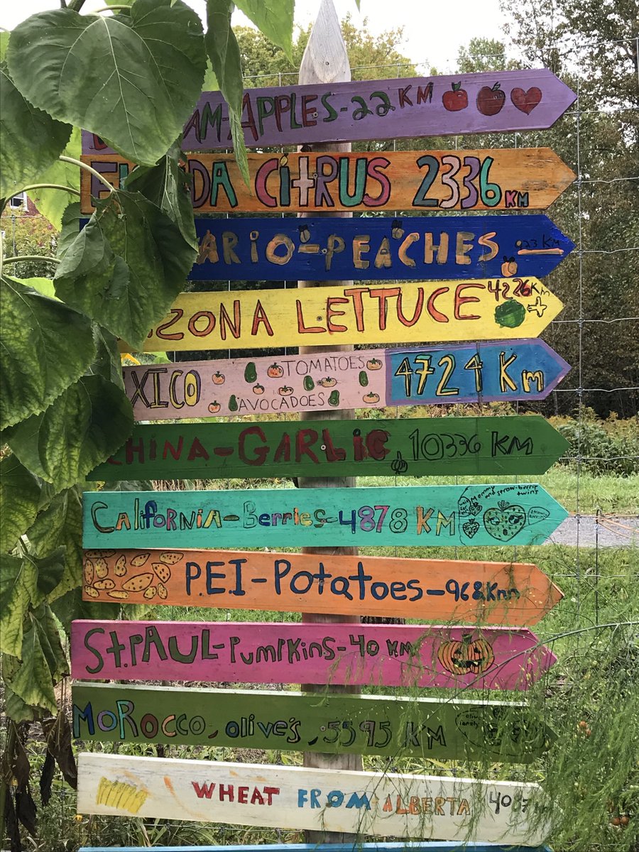 KAsecondary1's tweet photo. We connect with our community by sharing a meal grown in our garden. #WeDay ⁦@WEMovement⁩ https://t.co/bnMIvg0Vw9
