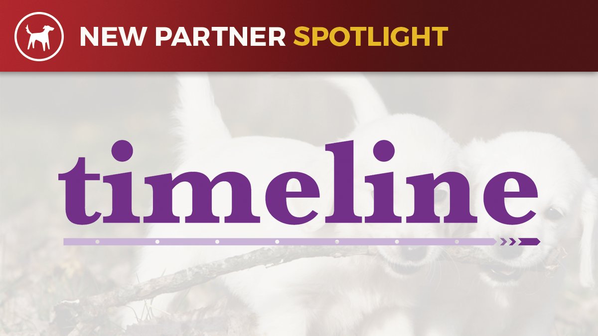 RedtailCRM's tweet photo. Join us for a New Integration Spotlight with @Timeline_Tech. Wednesday, February 5, at 11am Pacific, tune in to familiarize yourself with tech solutions and new integrations you may not currently be using that could benefit your office. Register here ➡️ https://t.co/Fy2qYdI5q3 https://t.co/OanuRL3Q6t