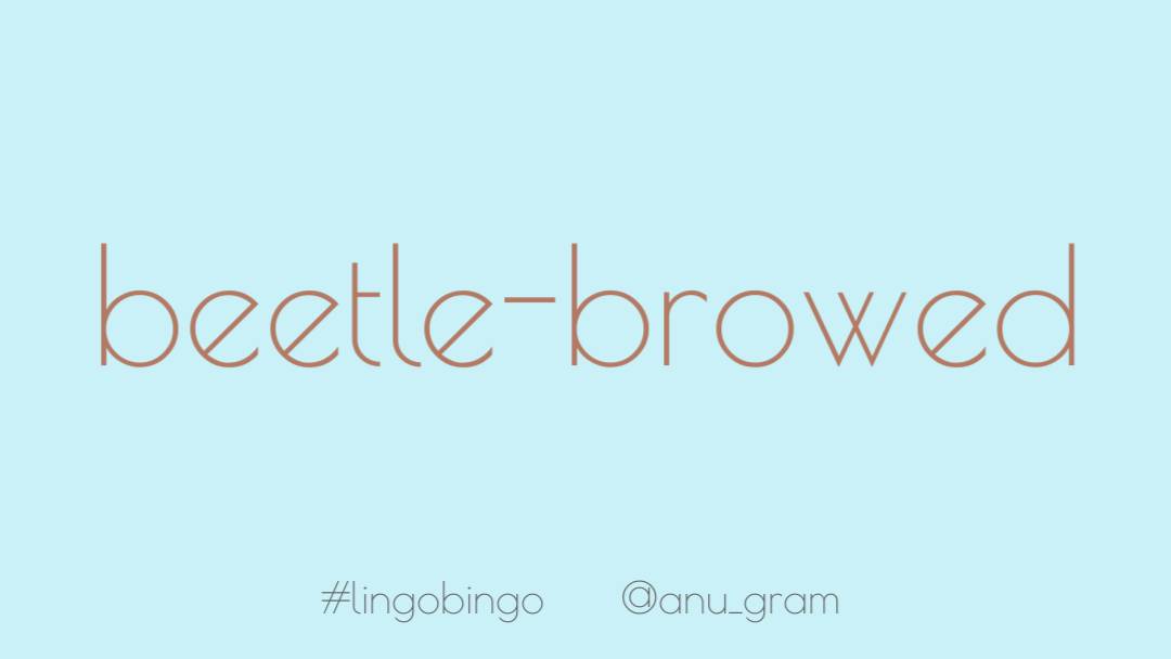 Today's word is one that has tickled my fancy'Beetle-browed' meaning sullen or unfriendly looking'Caterpillar-browed' would make more sense if you ask me but I like the alliteration of beetle-browed #lingobingo