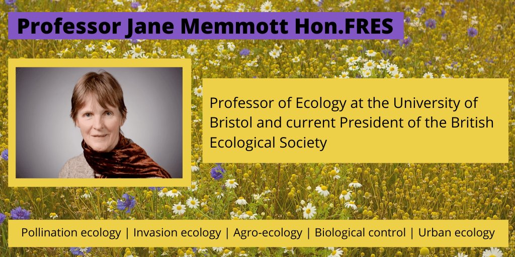 BEE_Ox_2020's tweet photo. We are pleased to announce that Professor Jane Memmott Hon.FRES @BristolUni and president @BritishEcolSoc will be one of our plenary speakers at #BEE2020! https://t.co/cvTNHve504