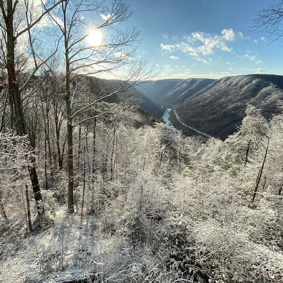 A thin river runs through the bottom of a wide canyon with snow covered trees carpeting the slopes under a bright blue sky.