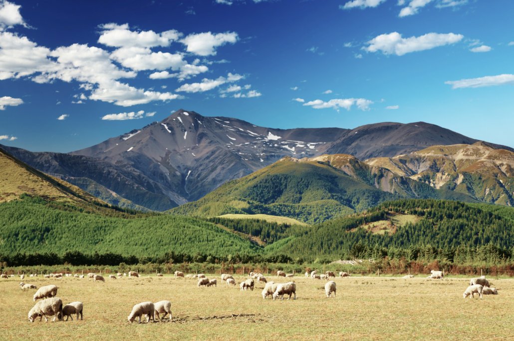 Reaseheath College tweet media