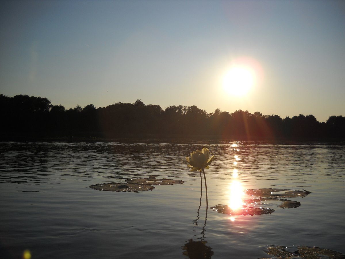 Image of Old Woman Creek NERR with sun rising in the background.
