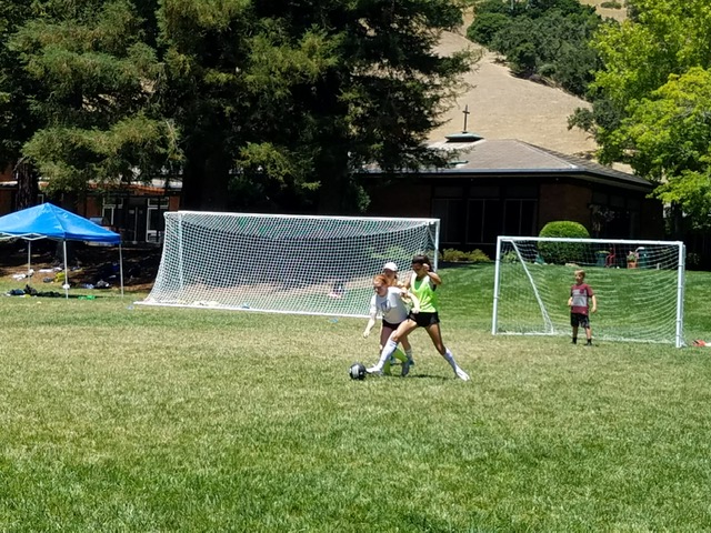 ELSSportsCamp's tweet photo. Tennis, soccer &amp; basketball - which is your sport?  Reach your goal this summer with the ELS/Nike Sports Camp @sandomenico - sign up today! #ELSCamps https://t.co/4PiimbU0Fw