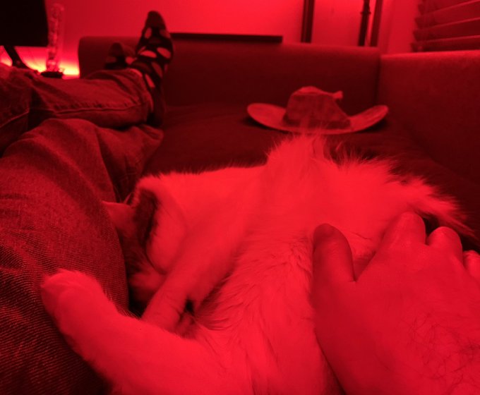 So Floof is sleeping where I want to crash, but she&rsquo;s so cute I can&rsquo;t move her. Pros: Floof time cuteness