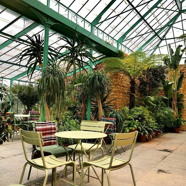 Somersalt tweet media