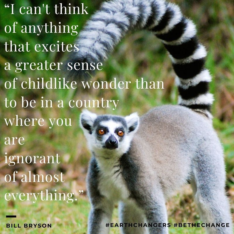 #MondayMotivation #BillBryson #adventure #madagascar #place #people #wildlife #planet #dosomethingdifferent #volunteer  #conservation #extraordinary #experience #earthchangers #MotivationMonday #bryson #amazingplaces #Volunteerabroad #volunteering #wildlifeconservation #biodiversity #mymadagascar #sifaka #ringtail #lemur #lemurs #adventures #adventuretime #adventureisoutthere #adventurers #adventureawaits 