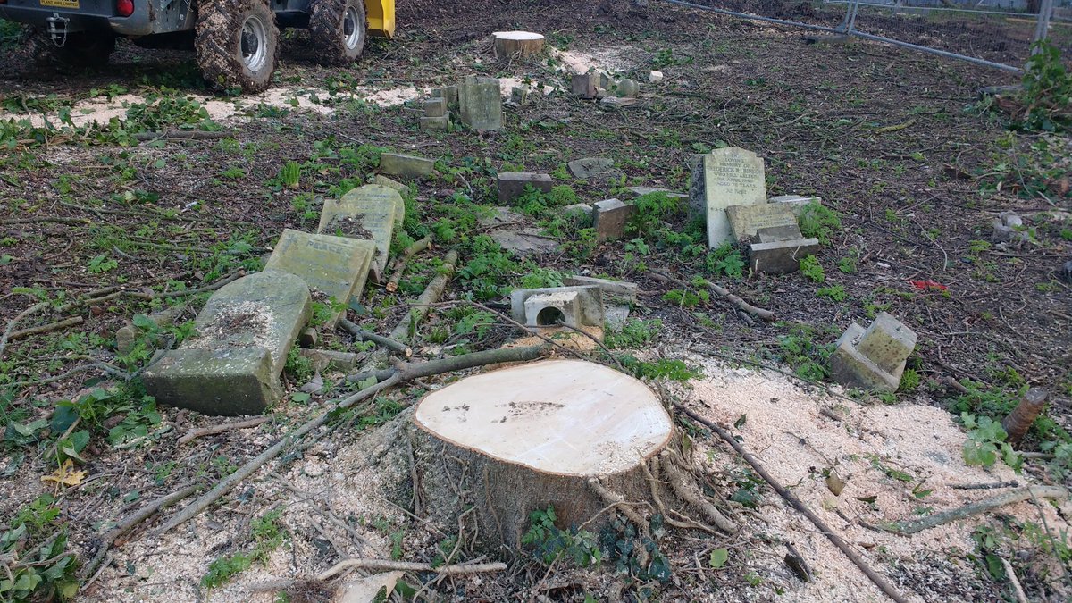 SouthwarkWoods's tweet photo. This is how @lb_southwark treats its residents, living and dead. They are cutting down 12 acres of trees above the war era graves including 48 @CWGC soldiers and sailors. And they can't even remove the headstones first. https://t.co/PDYCccTs4Z https://t.co/Bxfm6NlbIY