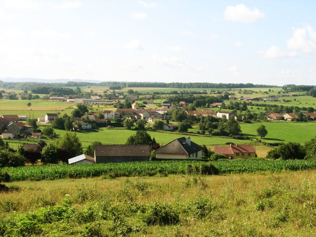 LosangeFibre's tweet photo. [MON RÉSEAU ET MOI] ❌🥞Ce n'est pas pour manger des crêpes que l'on vous donne RDV ce soir mais bien pour vous parler de l'arrivée de la fibre dans les #Vosges !
🔊 Rendez-vous à 18h30 pour #DommartinauxBois et #Harol à la salle des jeunes à Harol.

Crédit 📸 : Commune d'Harol https://t.co/hDgS0nKiCc