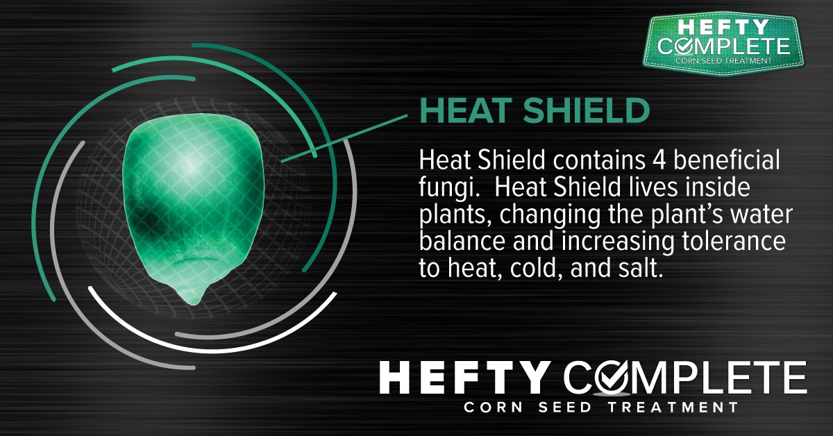 HeftySeed's tweet photo. Benefit from biologicals with ZERO extra work! When you plant corn treated with Hefty Complete, multiple biological products immediately enhance your seed’s performance! Heat Shield is proven to increase your plant’s stress tolerance and speed emergence. https://t.co/fKK76hnrBG https://t.co/2O5Nlq3DFM