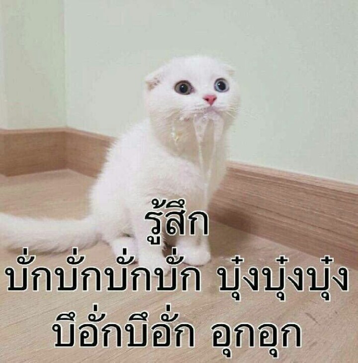 NIVVX1's tweet photo. @Pos_yp9785 https://t.co/rERKQEwuGU