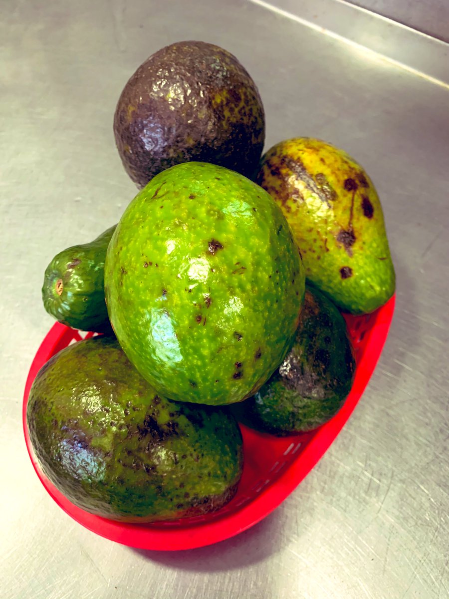 Aguacaticos de hoy