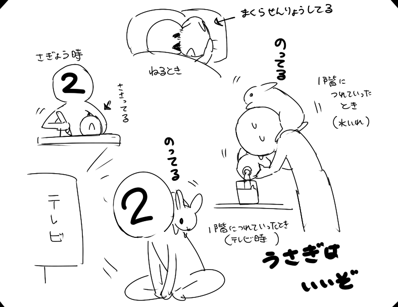 うさぎを別の部屋連れて行くと未知の場所は歩けない子なので テレビみてるときとか常にのってるんですよね…どっかに…うさぎ生活しあわせ(親バカ 