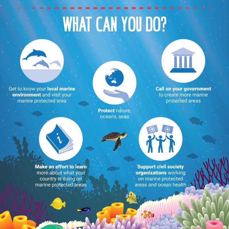 UNEP's tweet image. Marine protected areas safeguard 

🔷Species
🔷Habitats
🔷Ecosystems

Here’s what you can do to support them &amp;amp; help #SaveOurOcean🌊