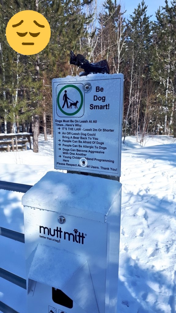 Lake_Laurentian's tweet photo. A reminder that once you have picked up after your pet to put the bag in a provided garbage bin please. Thank you!

#dogpoo #stoopandscoop #muttmitt #disposeofproperly https://t.co/N2IxGl00pW