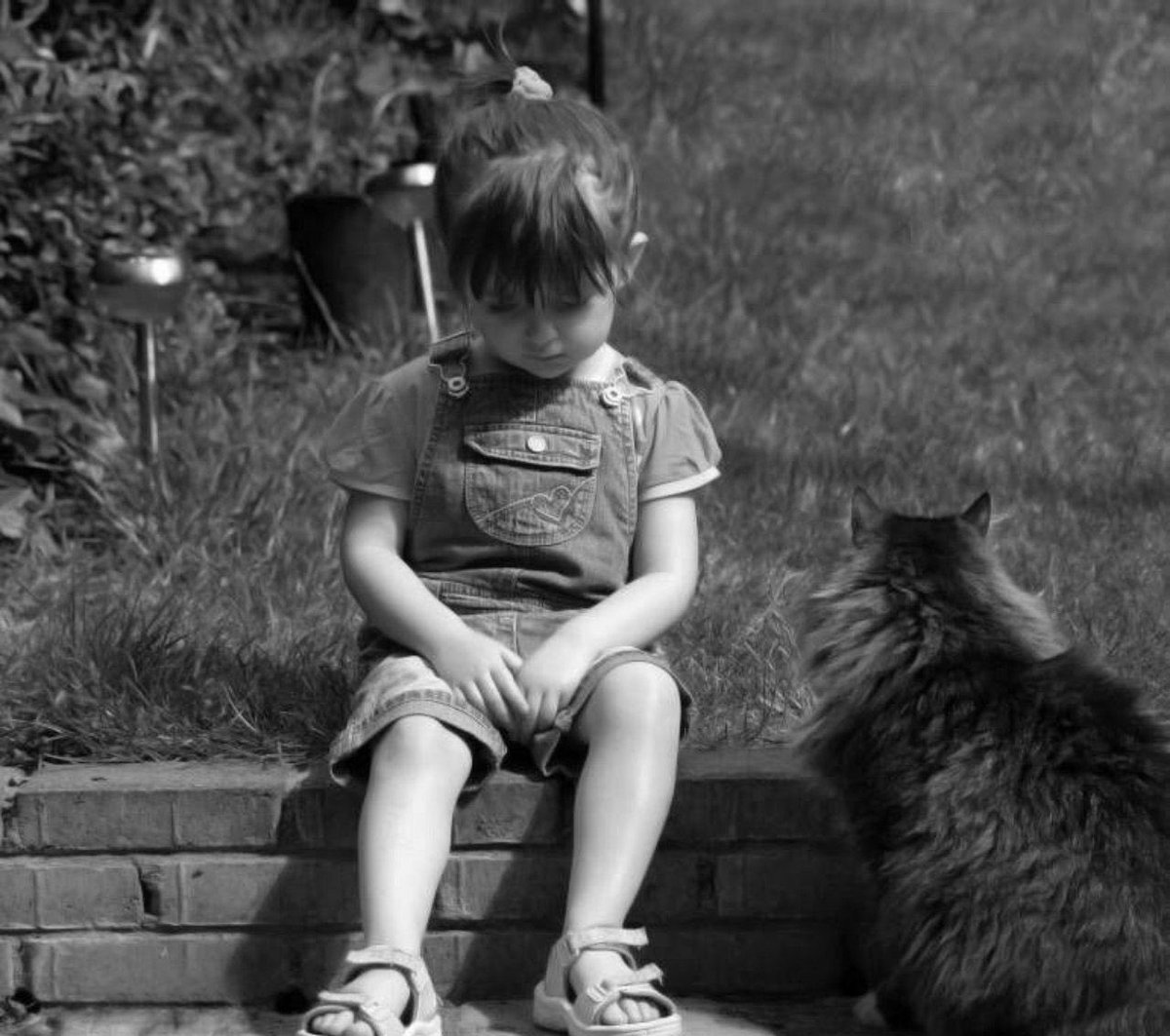 ♡ ✨

القليل الدائم والإضافة المُستمرة : 
أحرى بالبقاء والنماء . 🌱

┇❀⇣🕯✨⇣❀┇