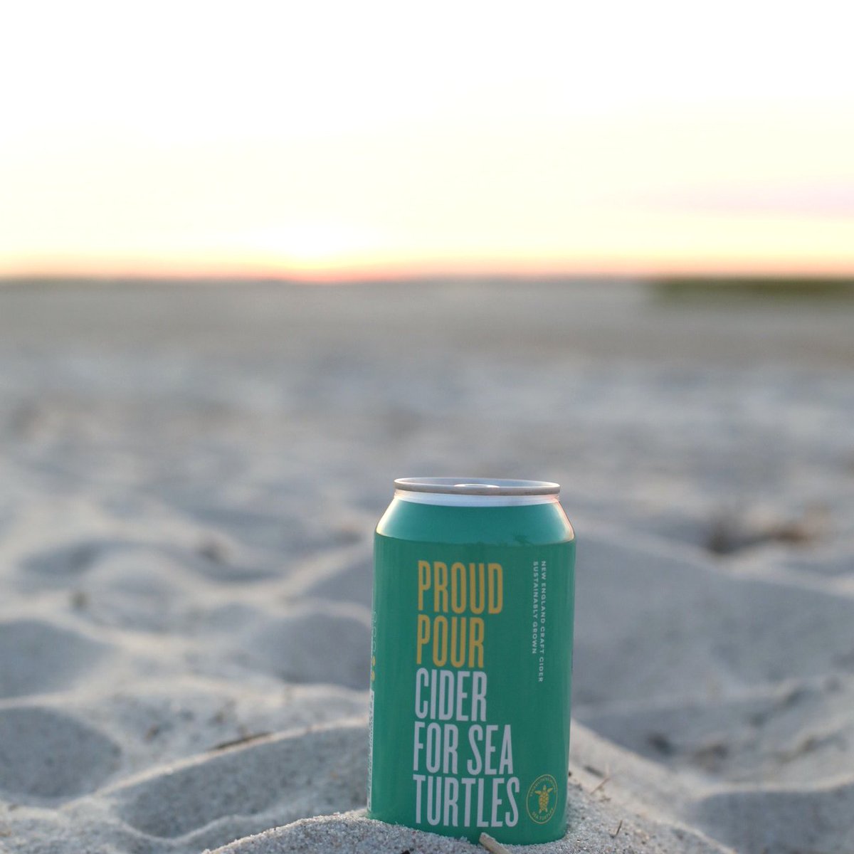 Never EVER leave a Cider for Sea Turtles by its lonesome at sunset.