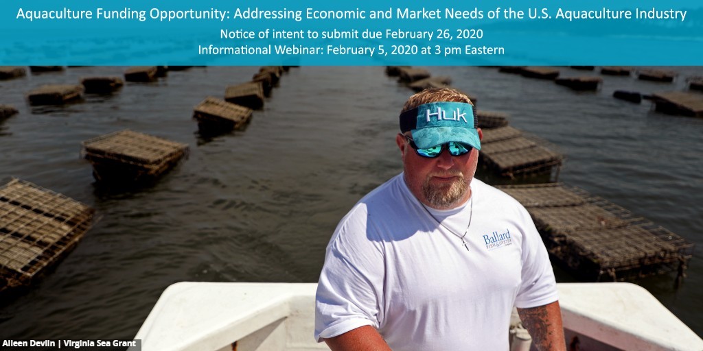Oyster farmer in a boat