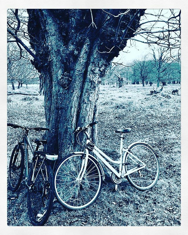 Kicked off the week with a cycle round Richmond Park. What a feel-good way to start the week.  I’m getting excited that the days seem a tiny bit brighter, a little warmer and there are even some early cherry blossoms on the trees. Spring is not far away.… ift.tt/36VCaMl