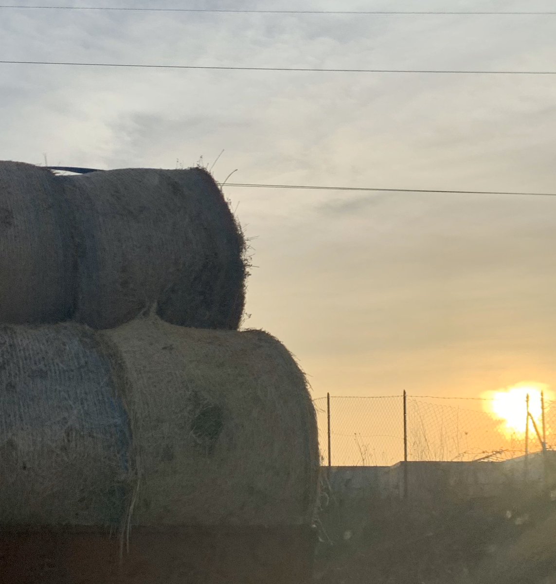 SempliceCatia79's tweet image. Quando ero bambina e vedevo per strada delle balle di fieno , mia mamma mi diceva :”esprimi un Desidero”.
Oggi ho 40 anni ... mia mamma non c’è più ... ma in me esiste ancora quella bambina ... ed esprimo un desiderio ✨ 
Non smetterò mai di crederci .