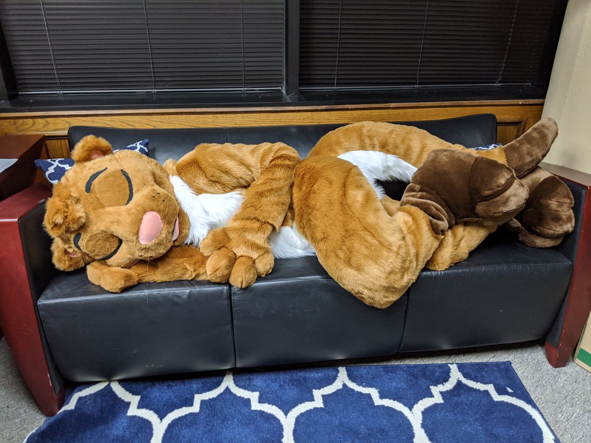 aSaltyBunny's tweet photo. Finished fullsuit for @MatixOtter 

See thread for info! https://t.co/uPImqnMCXC
