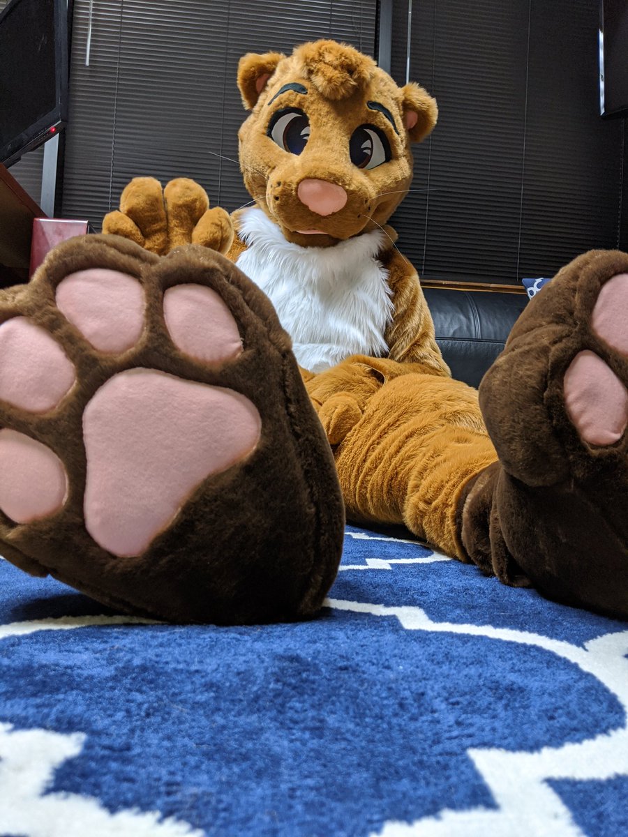 aSaltyBunny's tweet photo. Finished fullsuit for @MatixOtter 

See thread for info! https://t.co/uPImqnMCXC