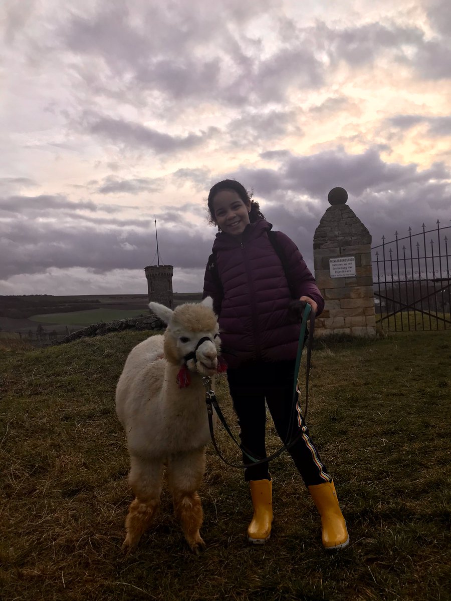 Me standing on a hill next to a white alpaca.