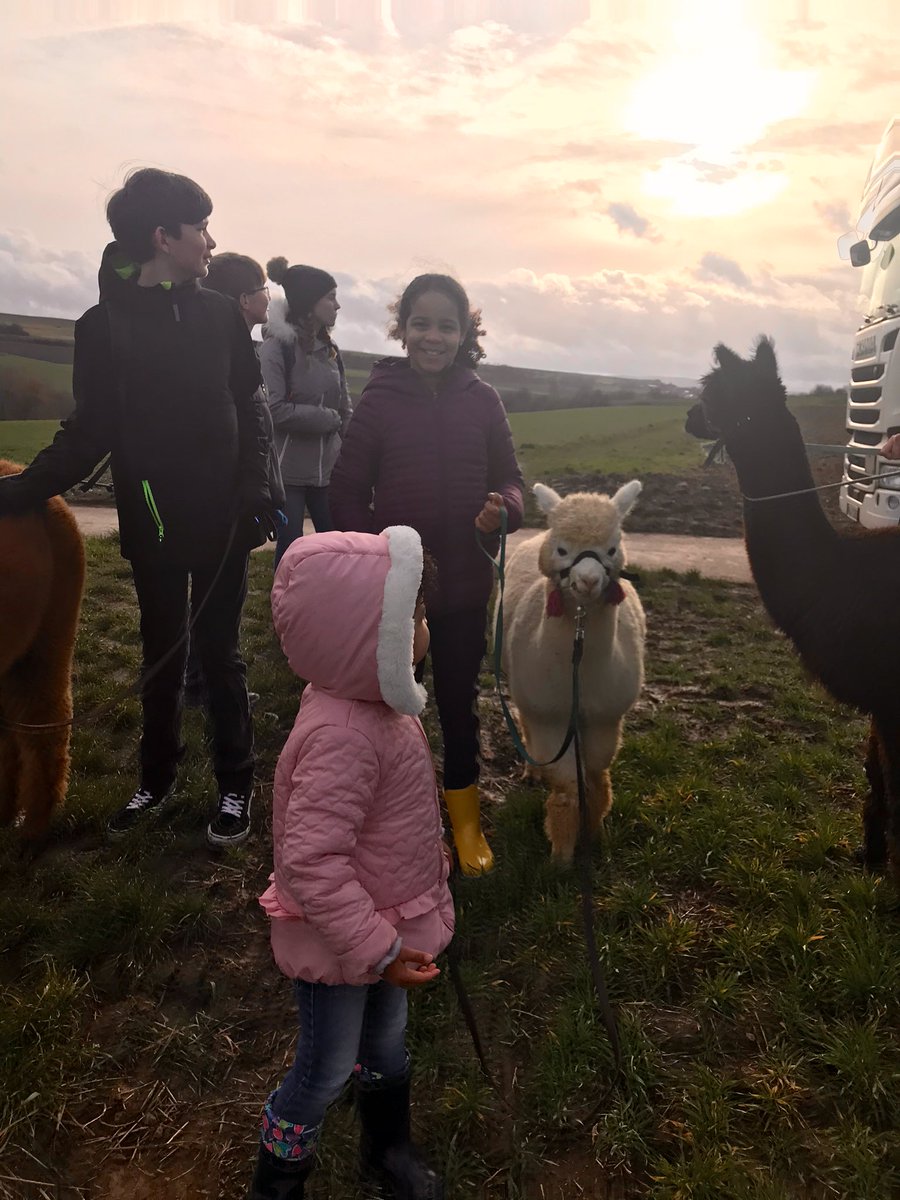 Me standing on a hill with my sister and friends next to a few alpacas.
