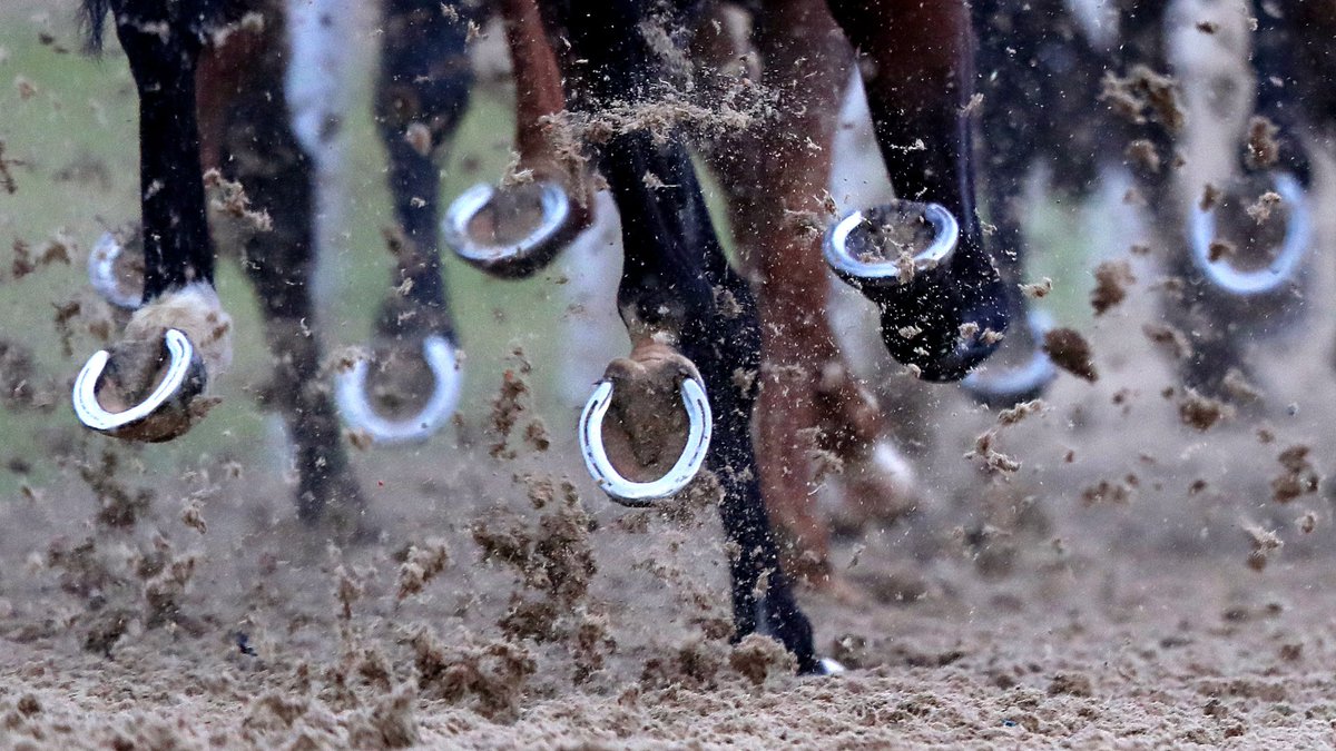 🏇 We're refunding bets on Lottie Deno in the 5.00PM at Wolverhampton as the horse was slow out of the stalls. Singles only.