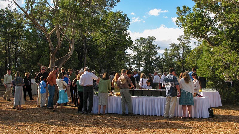Description: A group of 50 people dressed for a wedding are gathered outside around a large buffet table. 