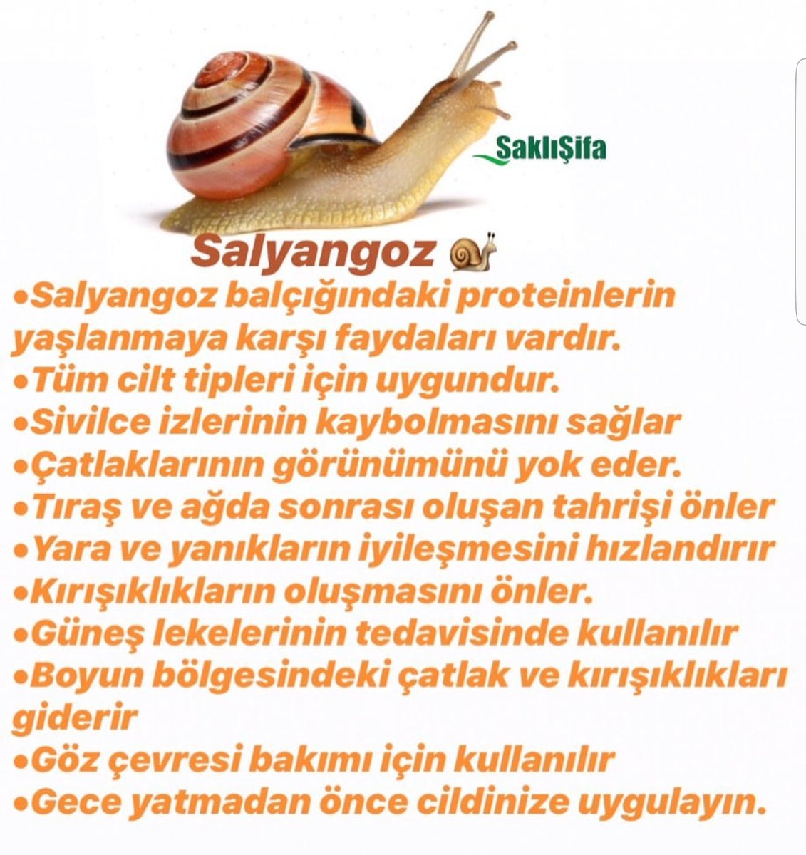 saklisifa1's tweet photo. Salyangoz kremi etkisini bilmeyen kaldı mı ?
#saklisifa #esenkent #bahcesehir #ıspartakule #esenkentaktar #softem #esenkentbaharat #bahcesehir #bahcesehiraktar #ıspartakule #salyangoz #AntiAging #kırışıklık #sivilce #yara #yanık #gözçevresi #güneşlekesi #yaşlanma #krem #cilt https://t.co/VL2bQe8Axm