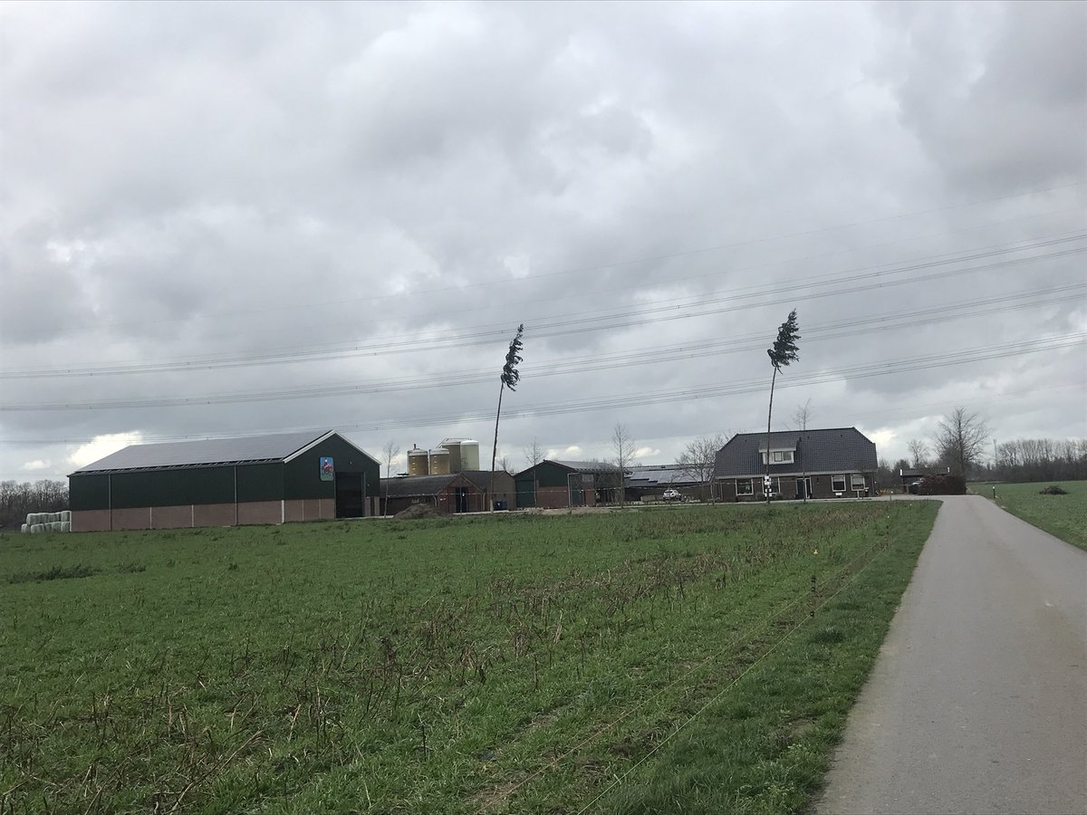 Sander Thus tweet media