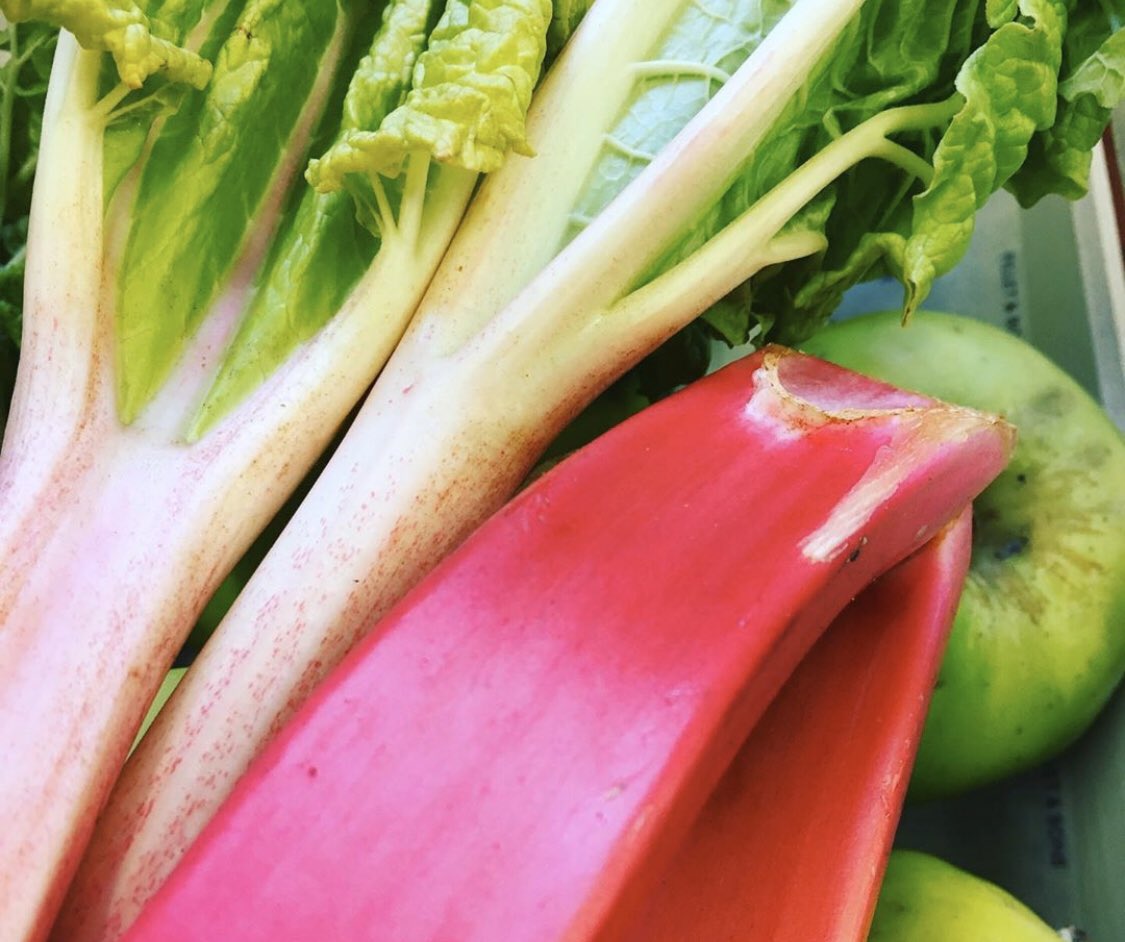 When you’re feeling distinctly February-ish and very much Monday-ish, there’s nothing for it but a rhubarb crumble for pud -  with the first forced rhubarb of the year. Who’s with us? #pudding #rhubarb #cotswolds #foodies #fruit #fiveaday