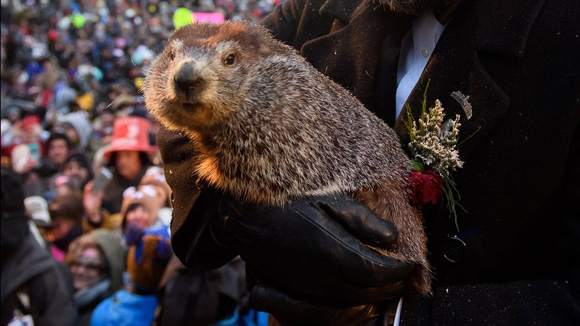 SoireePartners's tweet photo. This Groundhog Day, Punxsutawney Phil Does Not See His Shadow, Predicts Early Spring! Cheers to Spring! 
#Spring #Drink #Pittsburgh https://t.co/toBQRSR1v0