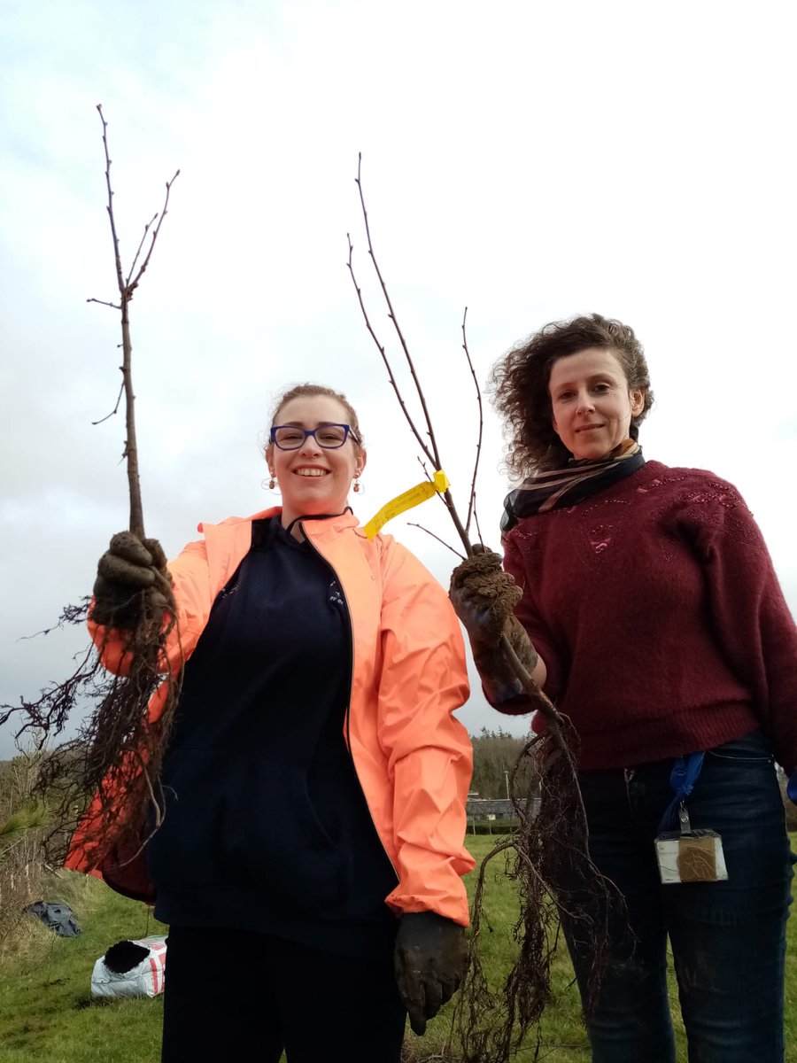 MarineInst's tweet photo. For Sustainability Week last week in the Marine Institute, staff planted 50 trees on the grounds at Oranmore. #marine  #sustainable  #pollinator #getgreener #sustainabilityatwork https://t.co/AeuFv6ZOCK