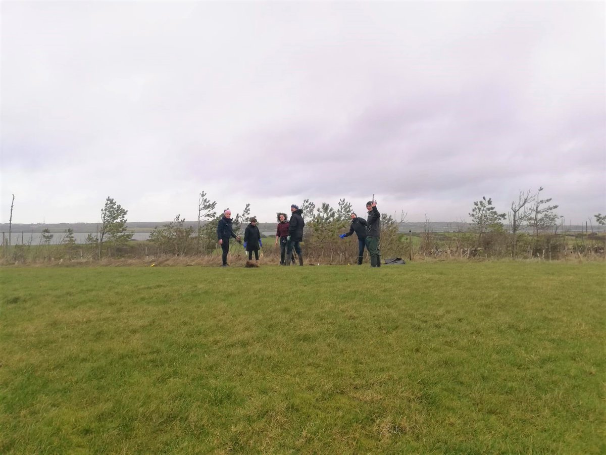 MarineInst's tweet photo. For Sustainability Week last week in the Marine Institute, staff planted 50 trees on the grounds at Oranmore. #marine  #sustainable  #pollinator #getgreener #sustainabilityatwork https://t.co/AeuFv6ZOCK