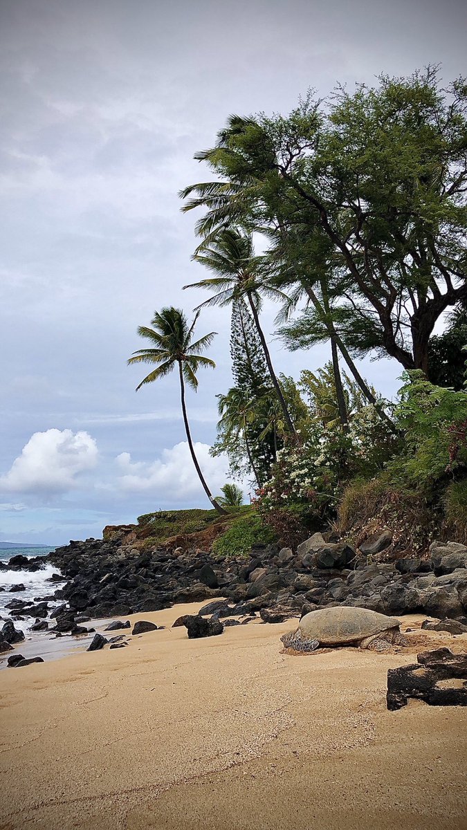 EllieRaebel's tweet photo. Is it normal to still be in vaca withdrawal almost 2mo after getting back..? #askingforafriend https://t.co/3ecfd2ozqH