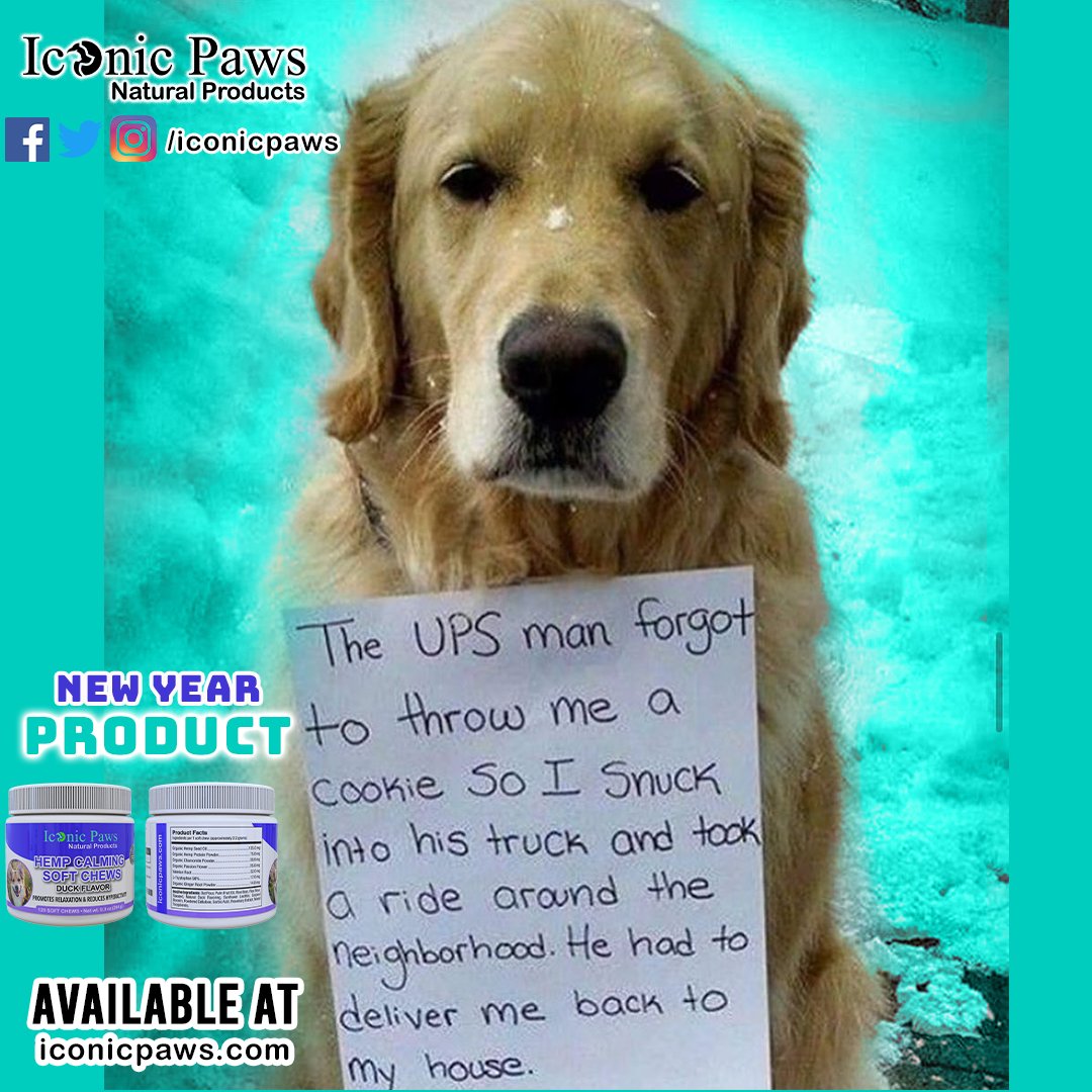 IconicPaws's tweet photo. Give your dog @iconicpaws the best cookies. We bet that your dog gonna love it. 🐾 

✅ Visit 👉🏻 https://t.co/lRVOptX2Mh for healthy dog products  

#dogcookies #dogcookie #iconicpaws #dog #dogs #dogfood #petfood https://t.co/QR0Wqhc6UB