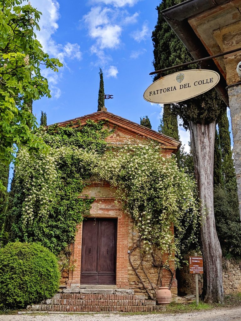 theradiantjane's tweet photo. Something for everyone in 2020. Check out my retreat schedule: https://t.co/tDtLUsQ6HG
We have 6 in Italy and 2 in the midwest USA. Private message me with any questions!
#radiantjaneretreats #radiantjaneitalyretreats #mediation #selflove #selfcare #retreat #peaceofmind #2020joy https://t.co/ouT8bd1PTt