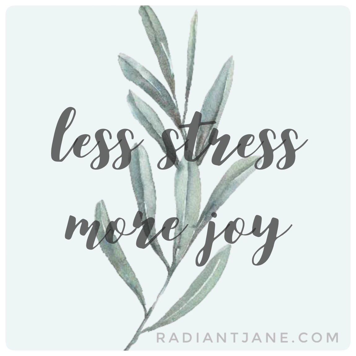 theradiantjane's tweet photo. Something for everyone in 2020. Check out my retreat schedule: https://t.co/tDtLUsQ6HG
We have 6 in Italy and 2 in the midwest USA. Private message me with any questions!
#radiantjaneretreats #radiantjaneitalyretreats #mediation #selflove #selfcare #retreat #peaceofmind #2020joy https://t.co/ouT8bd1PTt