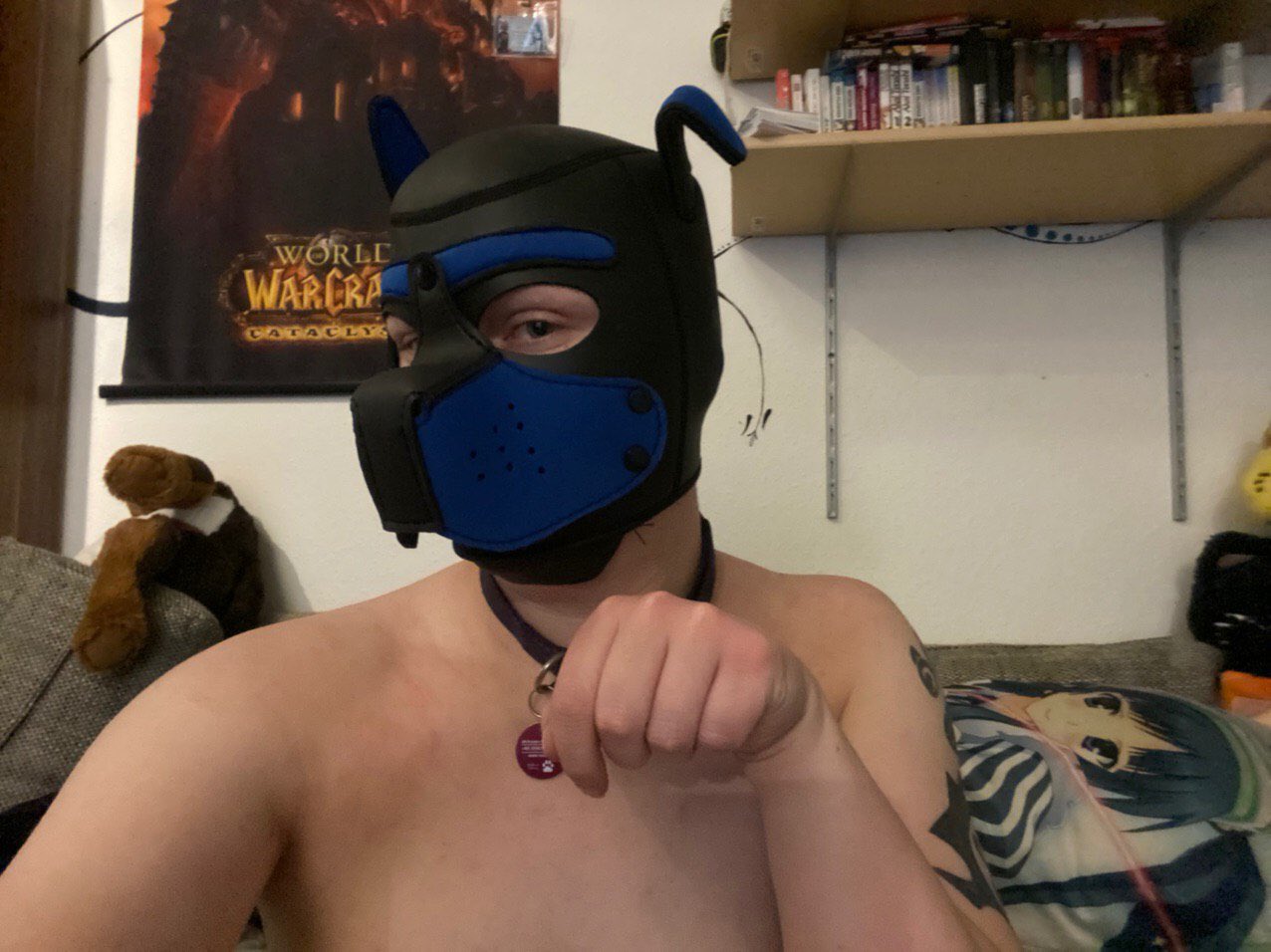 2 pic. I gues I’m a pet now 💕💕🐙 https://t.co/0DLzgyQGlW