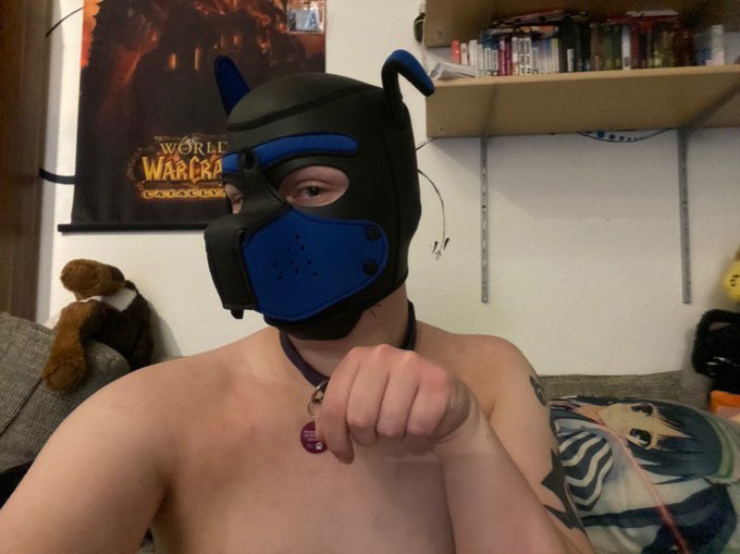 I gues I&rsquo;m a pet now 💕💕🐙 https://t.co/0DLzgyQGlW<a href="/tag/cat"class="tags"><span>#cat</span></a><a href="/tag/bondage"class="tags"><span>#bondage</span></a><a href="/tag/kink"class="tags"><span>#kink</span></a><a href="/tag/breathplay"class="tags"><span>#breathplay</span></a>