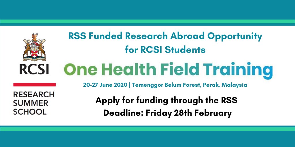 RCSI ResearchSumrSch tweet media