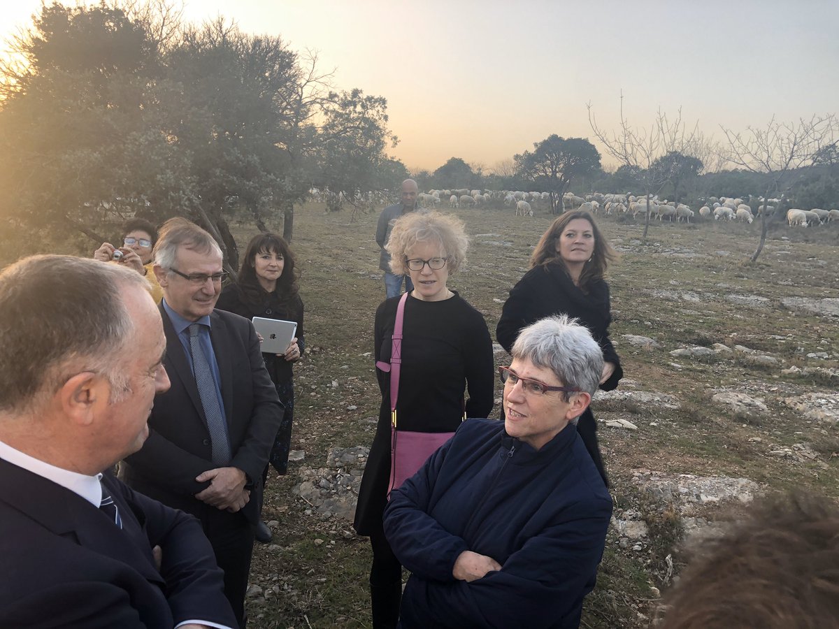 dguillaume26's tweet photo. GAEC de Cambous élevage ovin : « dans le cadre des négociations de la future #PAC, la France porte la nécessité de sécuriser les surfaces pastorales; charge aux acteurs de définir des modalités de gestion plus simples » @Prefet34 @Min_Agriculture @chambagri34 https://t.co/kzvwxsQr3w