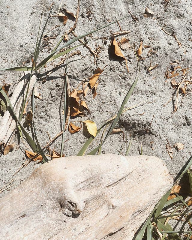 Tript Johal tweet media