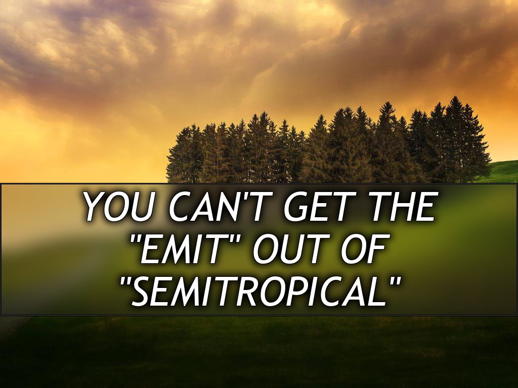 An old farmhouse is visible beyond a small group of tall trees, on a lush green hillside, under a grey sky with thunderclouds