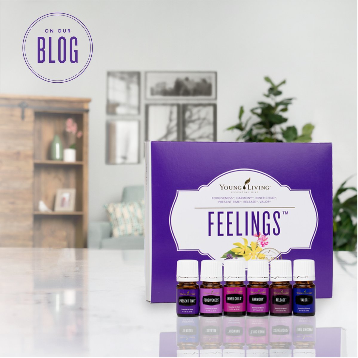 yleoeurope's tweet photo. Kept your New Year’s resolutions? Stay on track with an extra dose of motivation with these simple tips: https://t.co/jLaySKe89k
#younglivingeurope #feelingskit #essentialoils https://t.co/oM2HIHkpni
