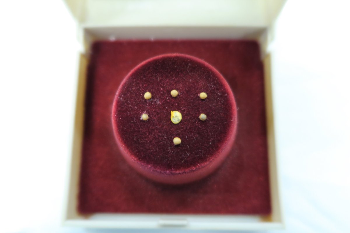 A closer shot of the contents of the box.